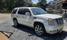 260.GM6B10 CADILLAC Glove Box Escalade #2