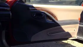 204.GM1R99 CHEVROLET Front Door Panel Monte Carlo