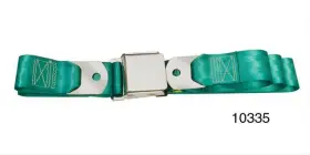 10355 DANCHUK Seat Belts