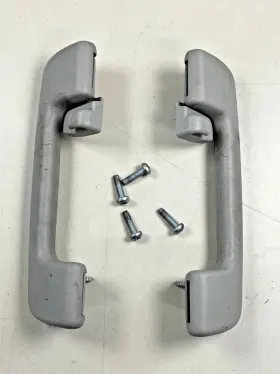 65412990 GENERAL MOTORS Roof Grab Handle Bolt Set Left Right