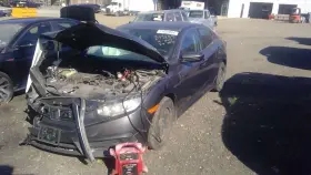 260.HO1D16 HONDA Glove Box Civic