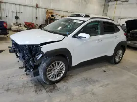 204.HY1519 HYUNDAI Kona Front Door Panel
