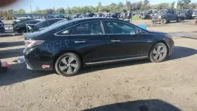83305E6790TGU HYUNDAI Driver Rear Door Panel Sonata #2
