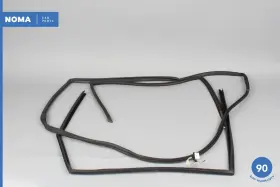 GNA2291AF JAGUAR Xjr Rear Left Driver Door Window Seal Set