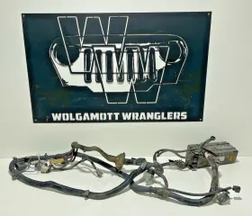 56010350AE JEEP Hood Fusebox Engine Wire Harness Tj Wrangler