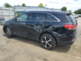 120-60672BR KIA Passenger Front Door Sorento #2