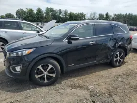 120-60672BR KIA Passenger Front Door Sorento