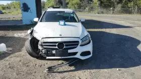 20597019509D88 MERCEDES Rear Center Headrest C300 #2