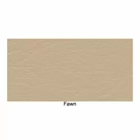 CVY-PTR-205 REM AUTOMOTIVE INC Tray Bel Air Biscayne Fawn #2
