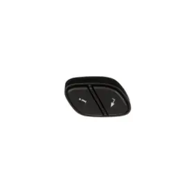 DS2477 STANDARD IGNITION Display Switch