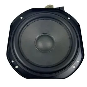 1079745-00-A TESLA Audio Rear Subwoofer Speaker Woofer