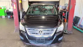 204.VW1411 VOLKSWAGEN Front Door Panel Routan