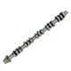 NEW RH ENGINE CAMSHAFT FOR 6.8L V10 2005-2013 FORD F250 F350 F450 F550 SD