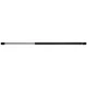 Liftgate Lift Support Strong Arm 4590 fits 05-10 Toyota Sienna