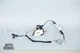 04-07 Jaguar XJR XJ8 X350 Rear Left Driver Side Door Wire Wiring Harness OEM