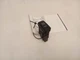 BACK DOOR OFF SWITCH fits TOYOTA SIENNA 2004 - 2010