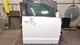 2019 Dodge Caravan RH Right Passenger Front Door OEM
