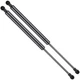 Lift Supports Front Hood Gas Springs for 97 98 99 00 01 02 03 04 Porsche Boxster