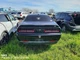 LEFT BLK FRONT DOOR ASSEMBLY OEM 15-23 DODGE CHALLENGE