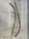 1961-1962 Ford Galaxie Lower Windshield Front Dash Garnish Trim Moldings Cowl