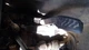 FORD TRANSIT25 2016 3.7L Accelerator GAS PEDAL 490617
