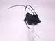 FRONT PASSENGER DOOR LOCK ACTUATOR FOR TOYOTA PRIUS 2004 - 2009 OEM