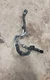 17 18 19 Alfa Romeo Stelvio Q4 Auxiliary Cooler Hose Set 50548340