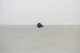 MITSUBISHI OUTLANDER MK3 GGW Rain Sensor OEM 8634A130 