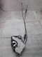 L/F Left Driver Front Door Lock Actuator 2013 ACURA ILX S-26P