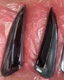 2024-2026 BUICK ENVISION REAR WINDOW APPLIQUE MOLDINGS OEM GM BLACK NEW 2 pcs