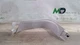 2020-2024 CHRYSLER VOYAGER REAR RIGHT LIFT-GATE TRIM UPPER PANEL OEM 5RJ28PD2AE