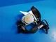 Nissan Pathfinder 2011 PATHFINDR 2011 Seat Belt Rear 2279