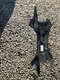 02 03 04 05 06 07 Mitsubishi Lancer Front Crossmember Suspension Sub-K Frame OEM
