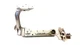 17-20 JAGUAR X760 XE 16-20 XF SUPPORT TIE BAR HEADLIGHT BRACKET RIGHT OEM 090324