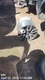 WHEEL/RIM ONLY OEM 19-25 GMC SIERRA150 23376228