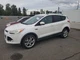 LEFT WHT FRONT DOOR ASSEMBLY OEM 13-15 FORD ESCAPE