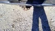 Seat Belt Front Regular Cab Bench Seat Fits 02-05 DODGE 1500 PICKUP 5450734