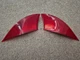 14 15 16 17 18 19 LEXUS IS200T IS250 IS300 IS350 REAR BUMPER REFLECTOR SET, OEM