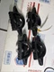 Toyota Truck Bed Cargo Tie Down Cleats Part #58461-04030 / 308617A  Set of 4