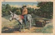 1943 Mercedes Texas Typical Mexican Water Wagon Donkey Linen Postcard