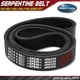 39.31" Serpentine Belt for Ford F-250 F-350 F-450 F-550 Super Duty 08-10 Porsche