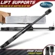 2x Front Hood Lift Supports Shocks Struts for Audi A6 2012-2018 A6 Quattro S6 S7