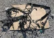 2008-2010 Ford F250 F350 CAB HARNESS 8C3T14A005P260R BBH