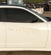2015-2023 Dodge Charger RH Right Passenger Front Door OEM