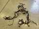 2024 HYUNDAI ELANTRA WIRING ASSEMBLY MAIN OEM 91160-AA340