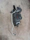 Q5 AUDI   2012 Fuel Vapor Canister 820424