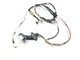 07 08 09 LEXUS ES350 REAR RIGHT PASSENGER SIDE DOOR WIRE HARNESS 82153-33270 OEM