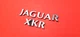 00 01 02 JAGUAR XKR REAR BUMPER NAMEPLATE BADGE EMBLEM SET OEM Q2