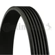 V-ribbed belt Continental CTAM 6PK2575 for Jeep Compass