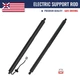 Rear Tailgate Power Lift Supports Struts for 2016 - 2019 Ford Explorer Police